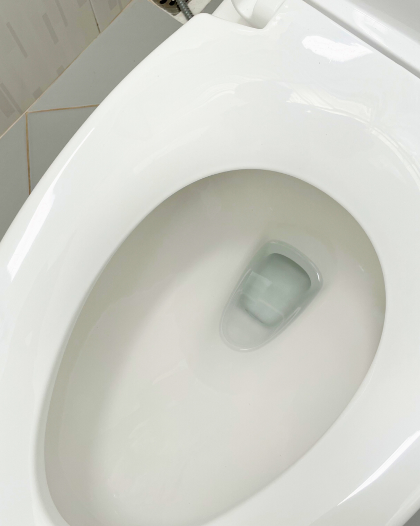 desentupimentos sanitas